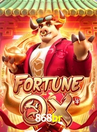 868BR.COM